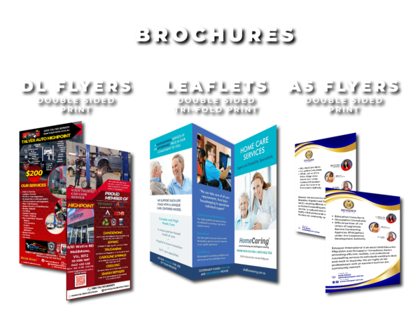 Flyers and Brochure